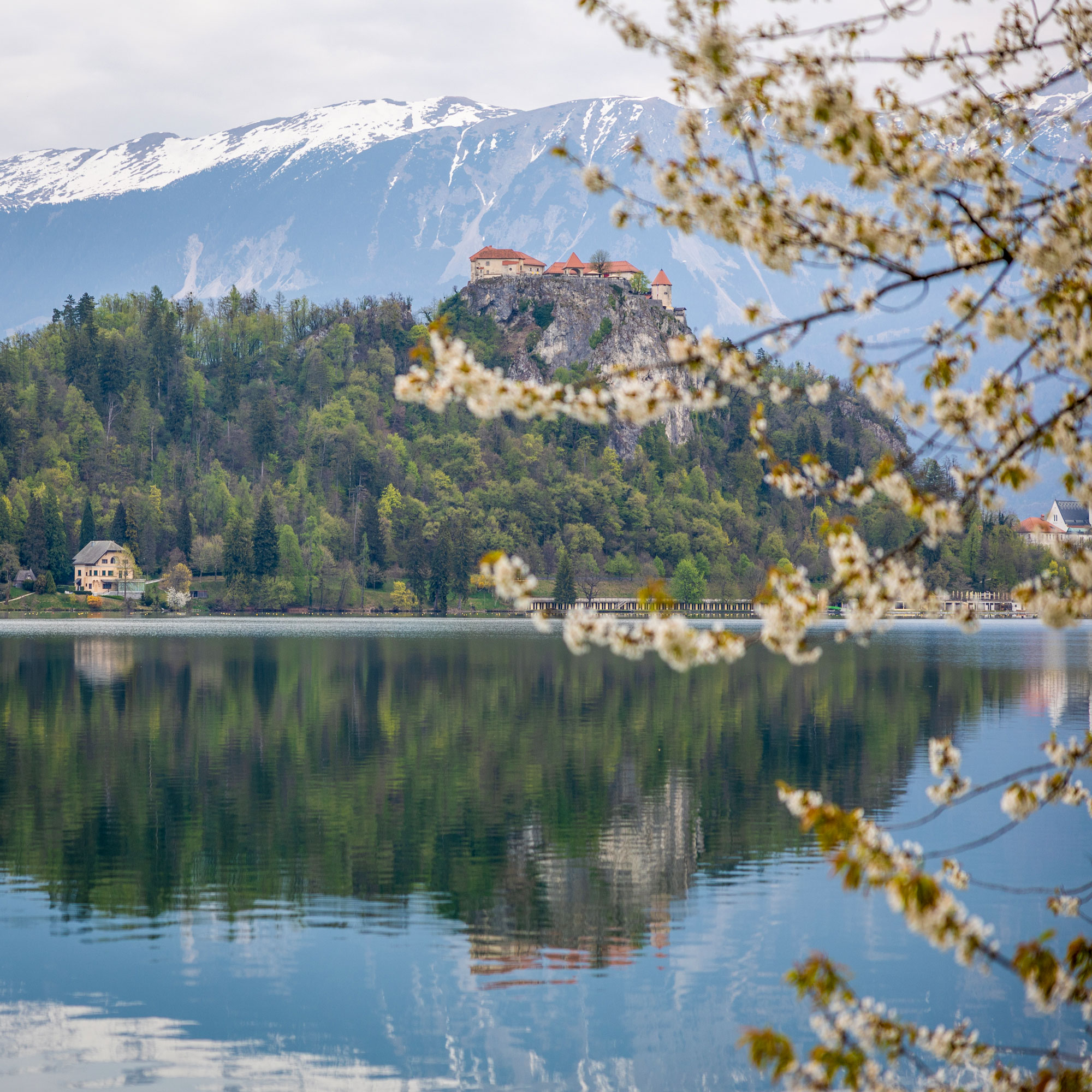 A slow walk to Castle Cliff above Lake Bled