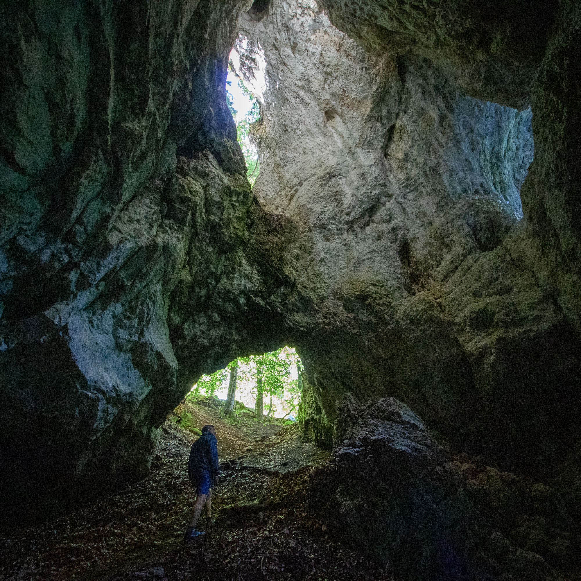 Hike through the quiet wilderness of Pokljuka Gorge