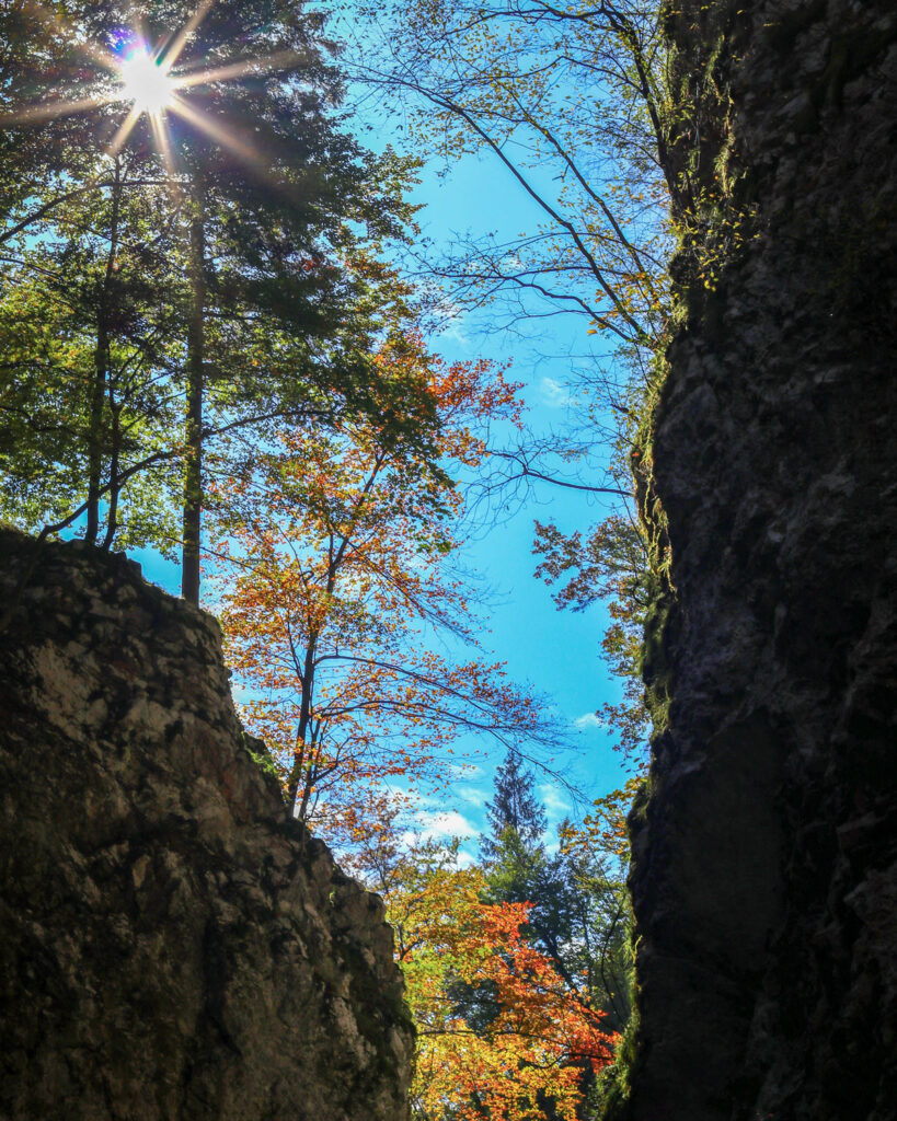 Vintgar Gorge in autum 