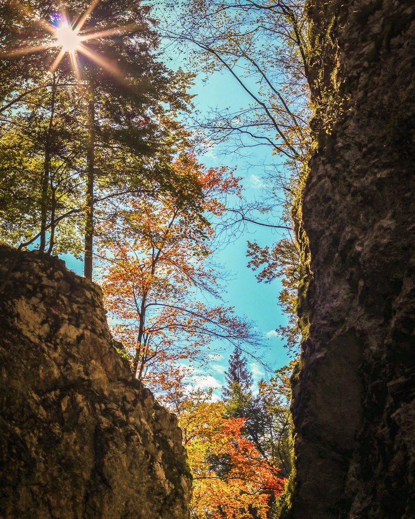 Autumn in Vintgar Gorge.