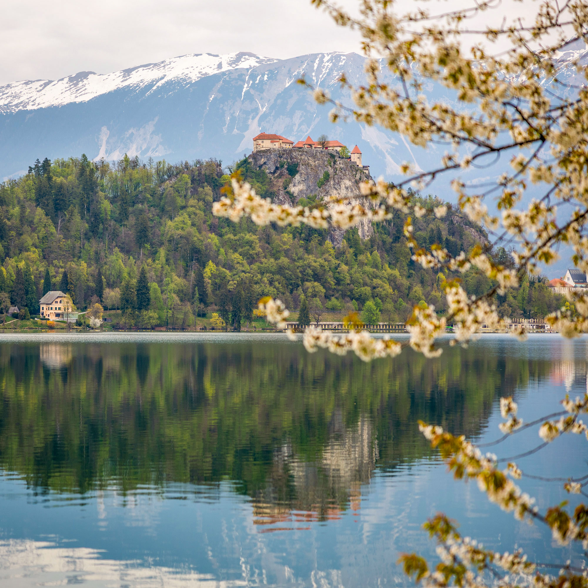 Walk to Bled Castle and explore the cultural side of Bled