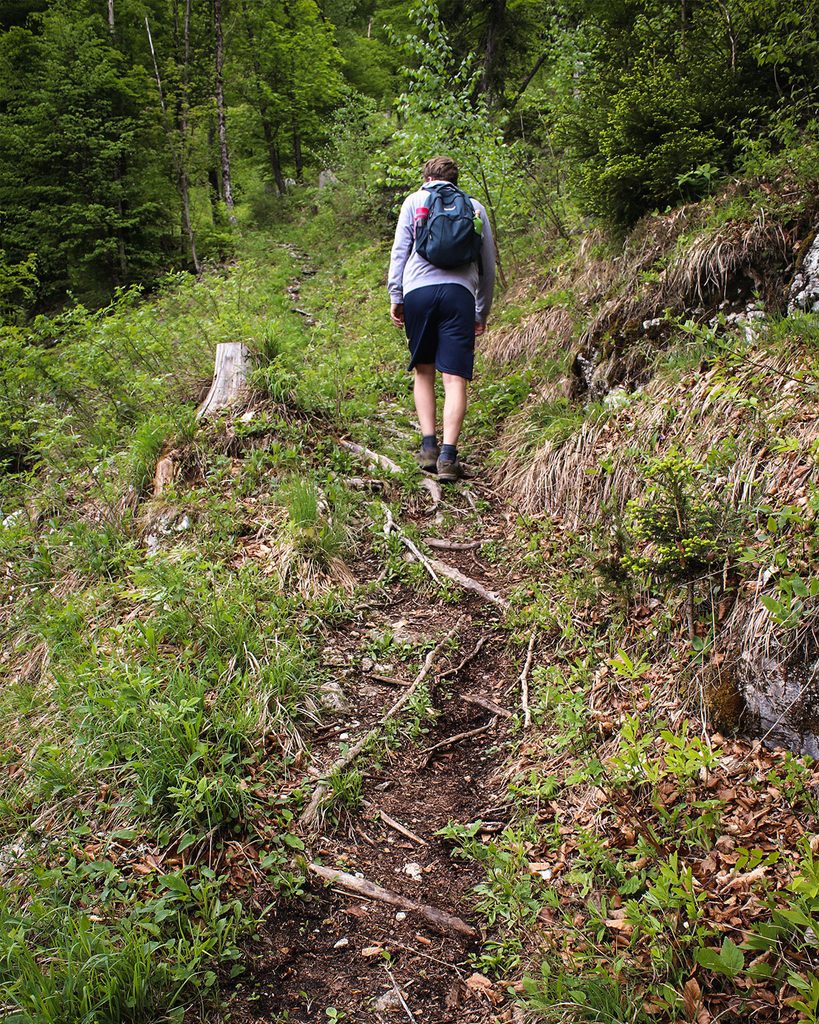 A man hikes towards the cave under Babji zob near Lake Bled.
