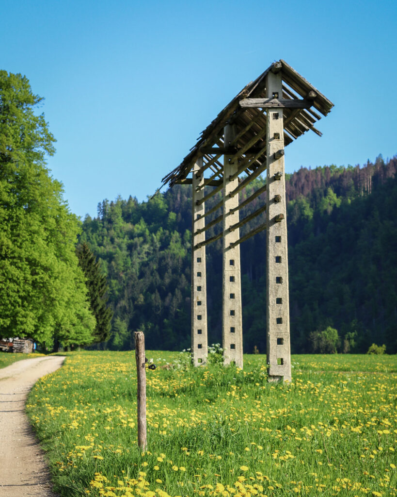 Macadam road leading from Krnica to Pokljuka Gorge. 
