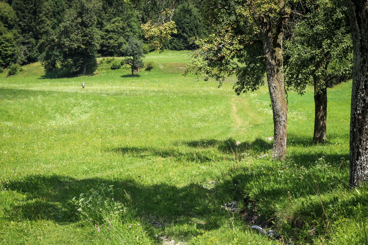 The meadow below the village of Kupljenik. 