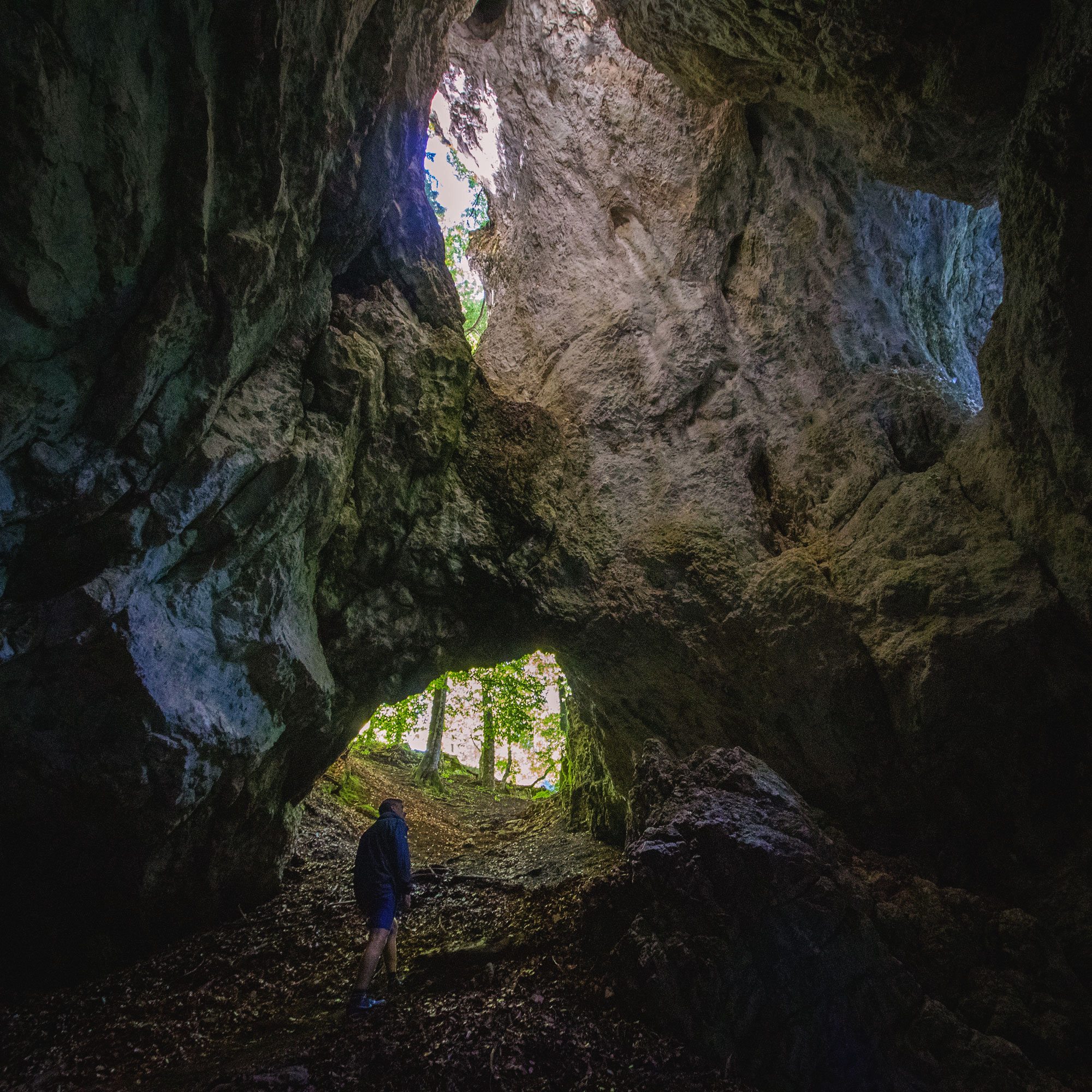 Walk through Pokljuka Gorge in Triglav national park