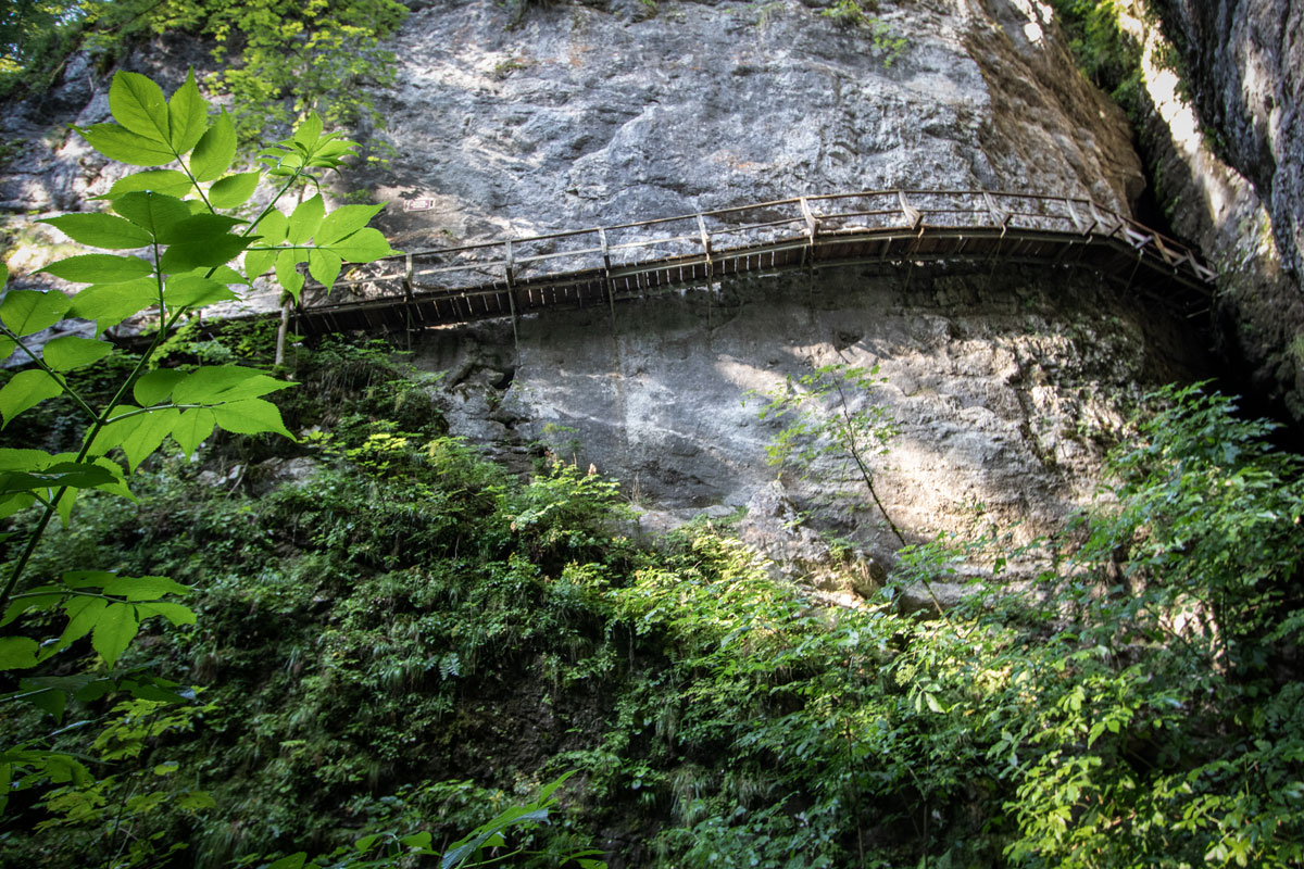 Prince Andrew Galleries in Pokljuka Gorge.