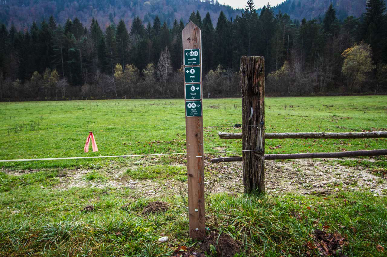 Signposts in Ribno pointing towards the hiking trails leading to Talež Hut. 