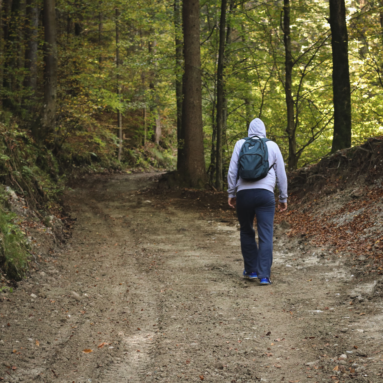 Visit Talež Hut for views of Lake Bled and the mountains