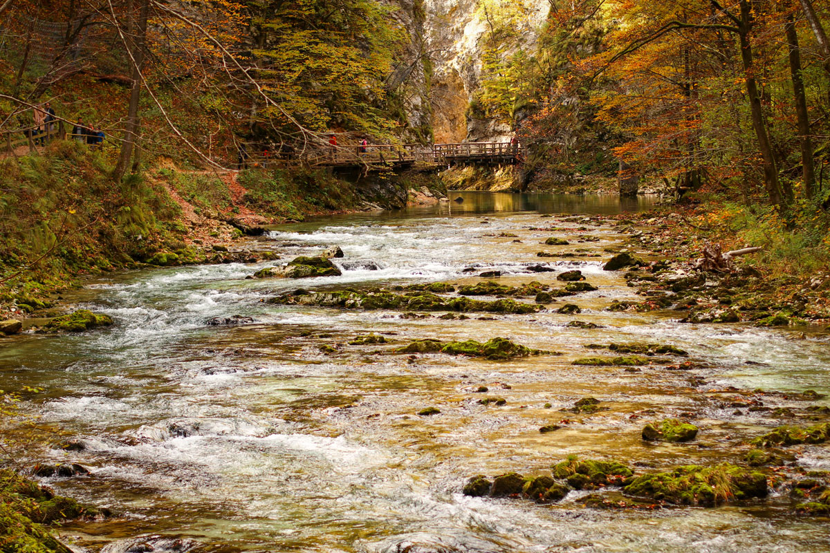 Vintgar Gorge in its final strech. 