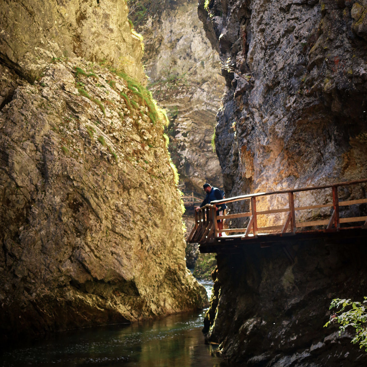 Reconnect with nature through the sounds of Vintgar Gorge