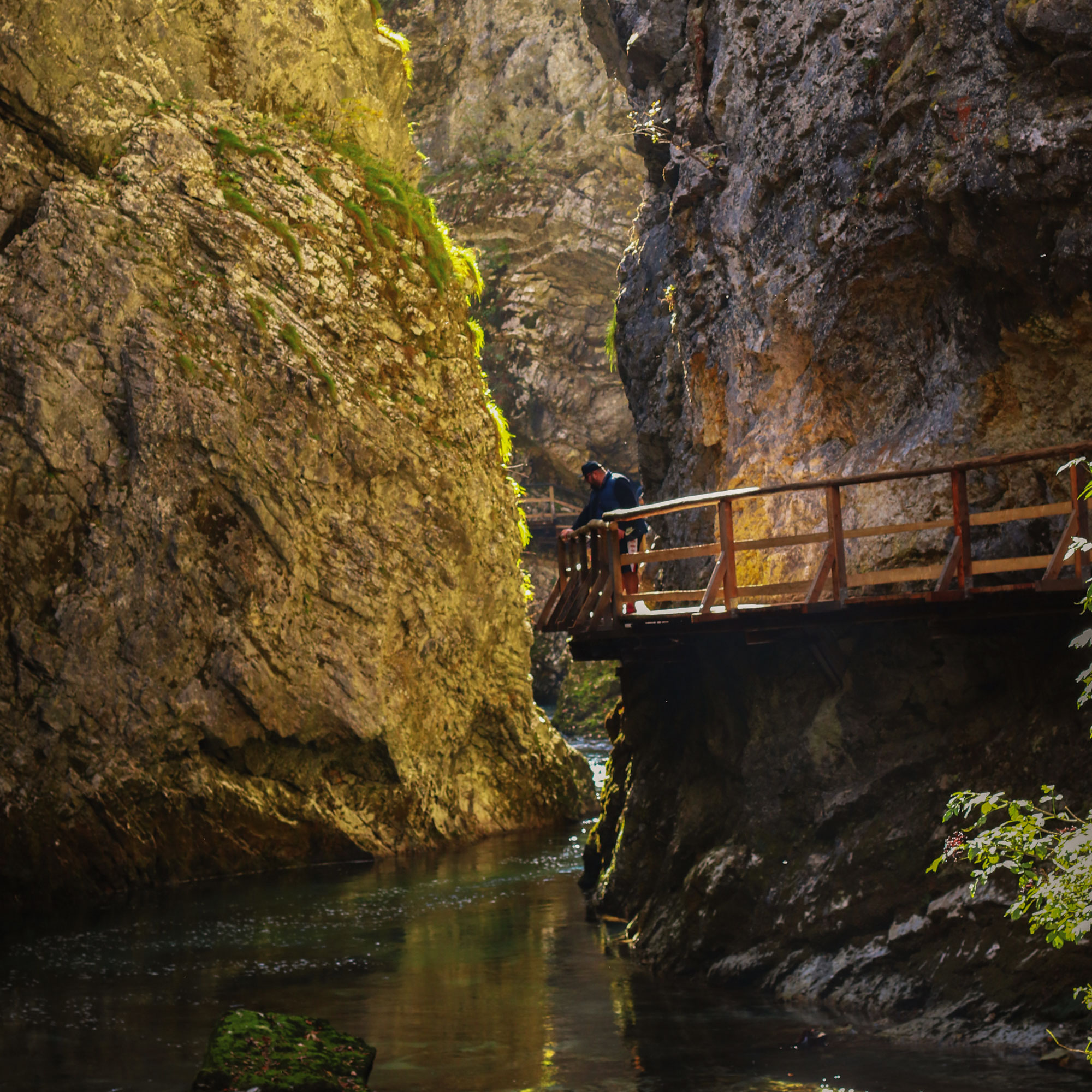 Reconnect with nature through the sounds of Vintgar Gorge
