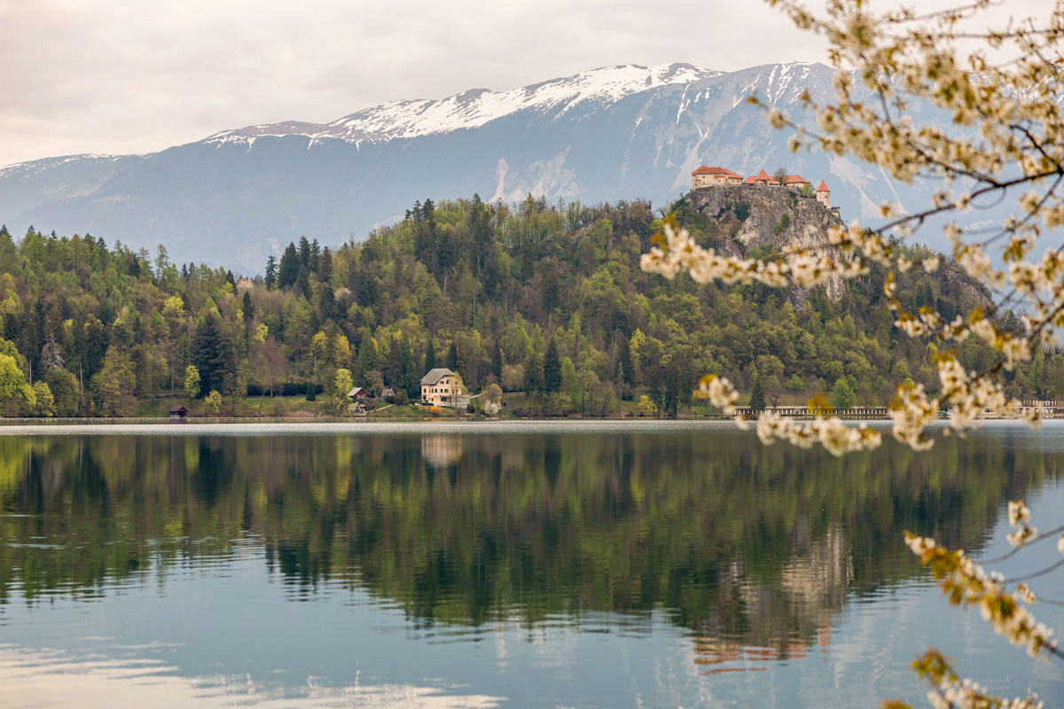 Bled Castle atop the cliff above Lake Bled as seen from the walking path around the lake.