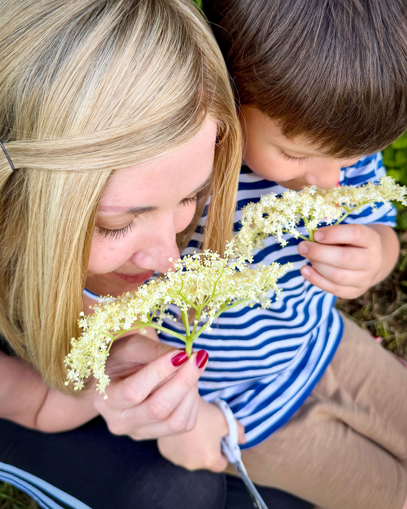 A woman and a child smelling elderflowers