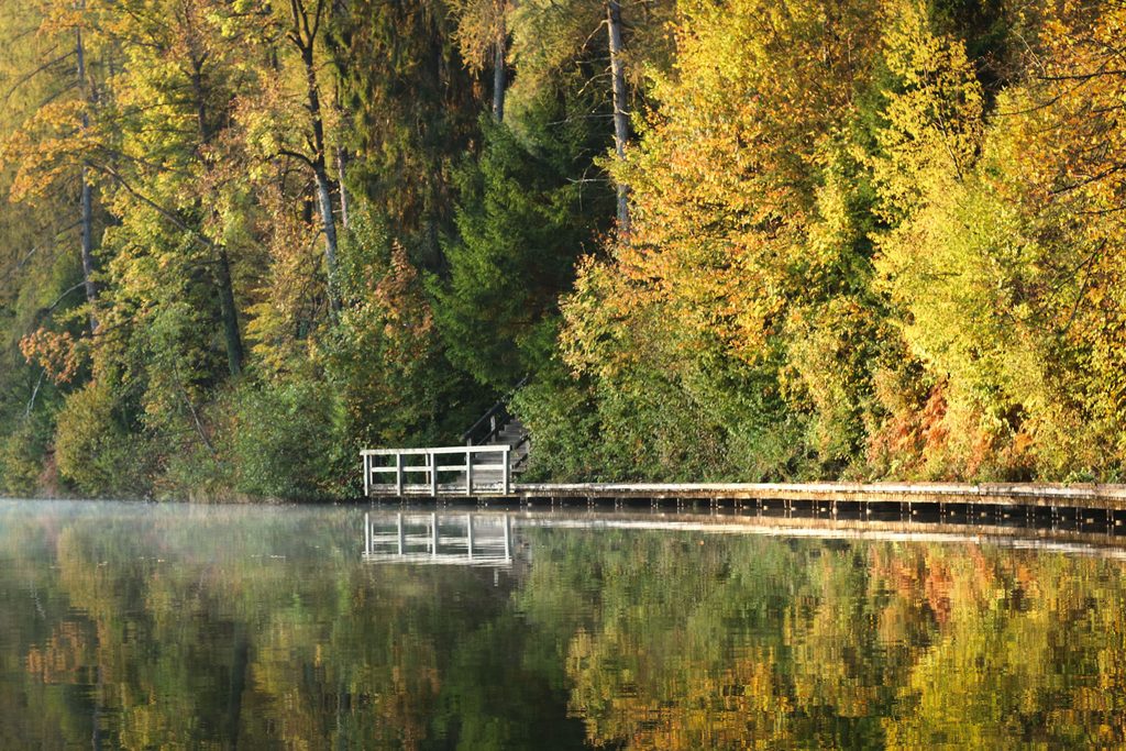 Lake Bled in autumn colours