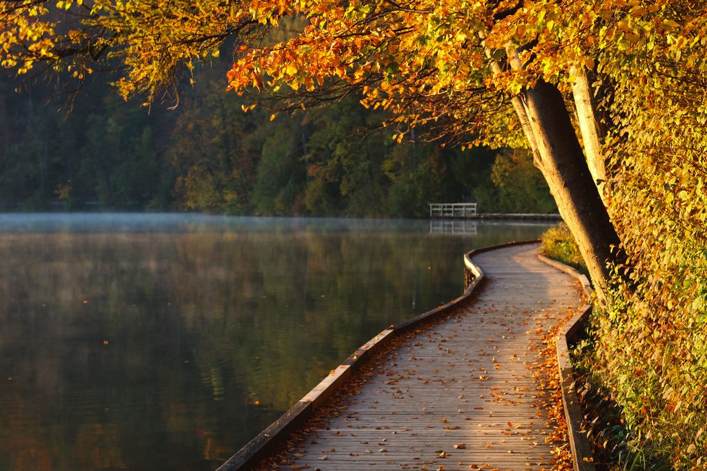 Wooden path above Lake Bled in autumn