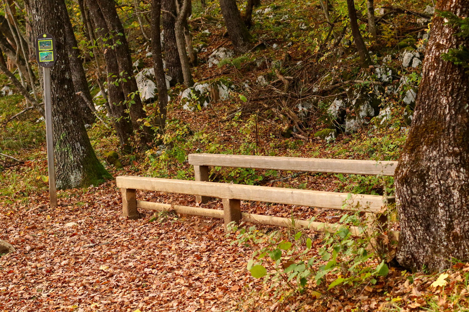 A wooden structure of the Bled Fitness Promenade on the Straža Hill in Bled. 