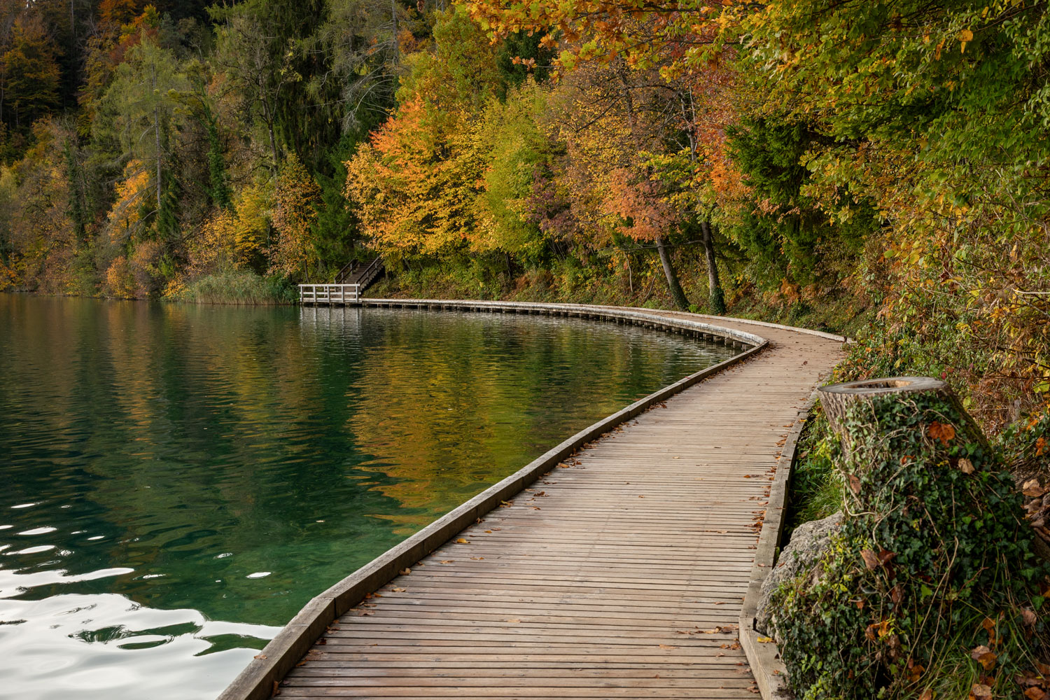 Wooden walking path by Lake Bled in autumn. 