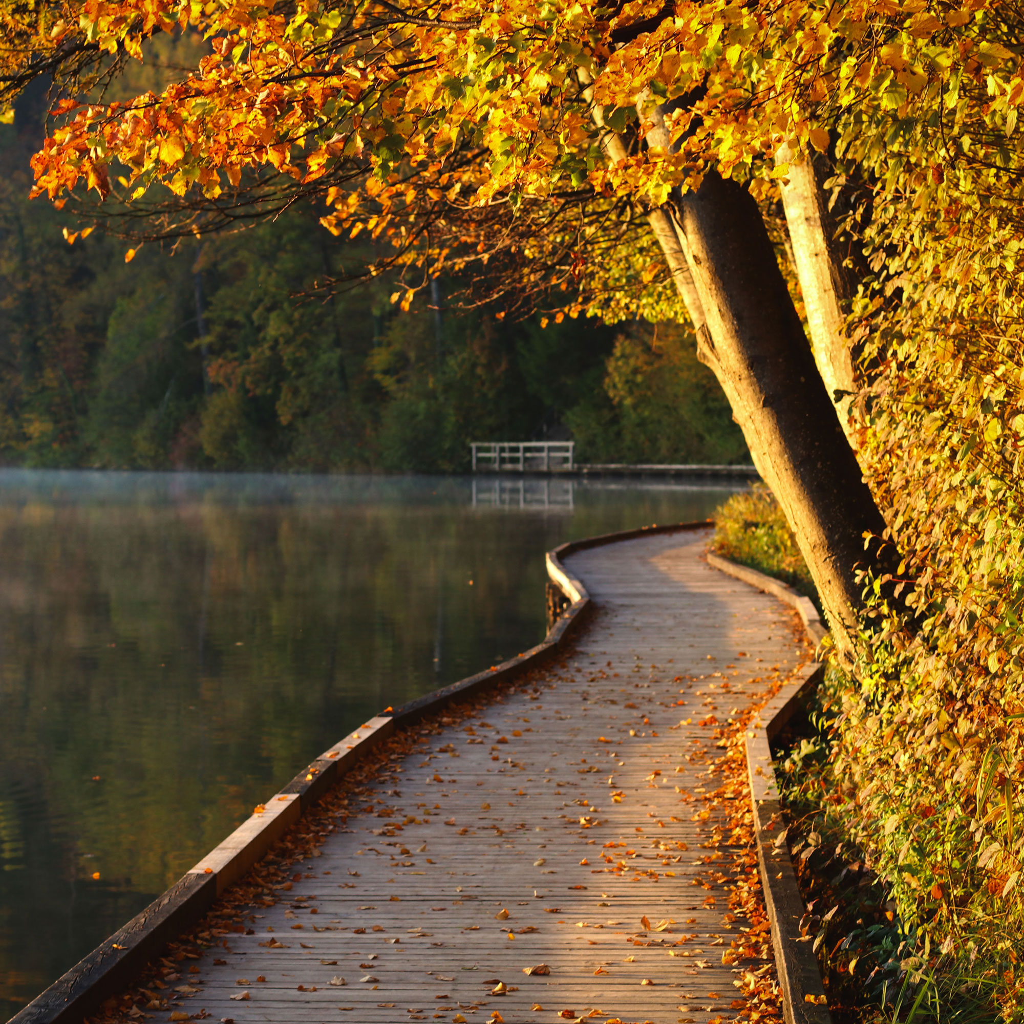 Walk around Lake Bled in autumn