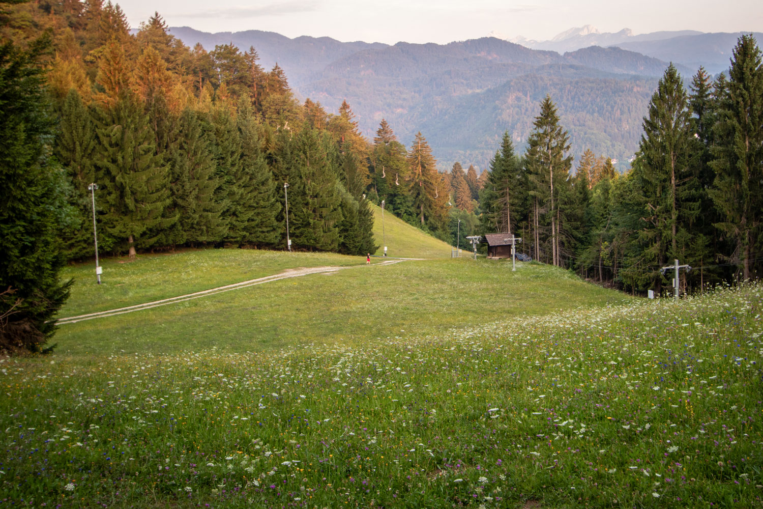 Hiking and walking trails on Straža Hill with the view towards the mountains 